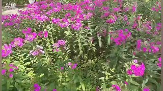 DNF搬砖吼吼