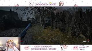 一只猪，两只猪！