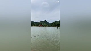 亮gnailux的直播间