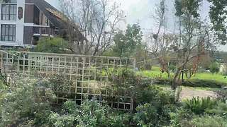 梦想小院dayn