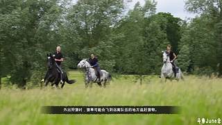 帝国时代4战役剧情