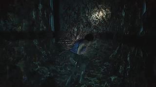 啥也不懂的萌新主播 8553831