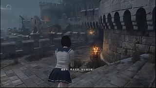 播个王阿姨的DLC