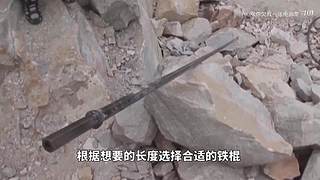 LOLM春风扶杨柳，敢问是段友