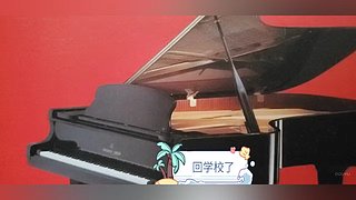 钢琴独奏&nbsp;获省二等奖