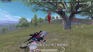月殿玉兔直播间