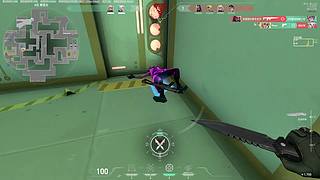 5555555 6602526