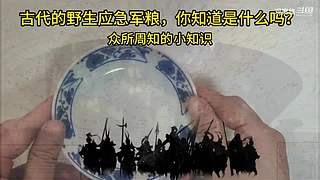 喜欢我的视频或想和我玩，请关注，打赏我哟
