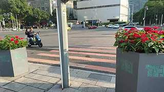 啊啊啊请进今日还单