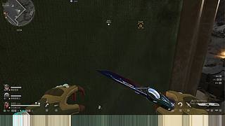 三角洲行动 12873515