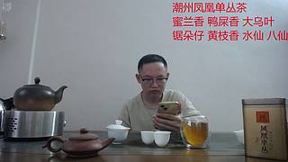 潮州凤凰单丛茶