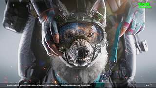 驴酱三角洲主播!