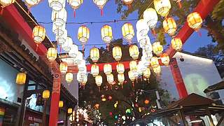 你的乖乖呢？