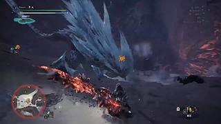猫五度的四个神选气息