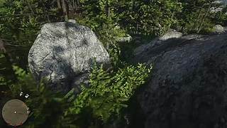 四少的直播间 6879209
