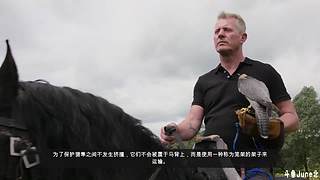 帝国时代4战役剧情