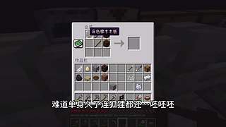 CH酷凡的MC视频播放间