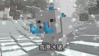 南石带你看不一样的《我的世界》