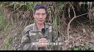 娱乐大于一切 10440627