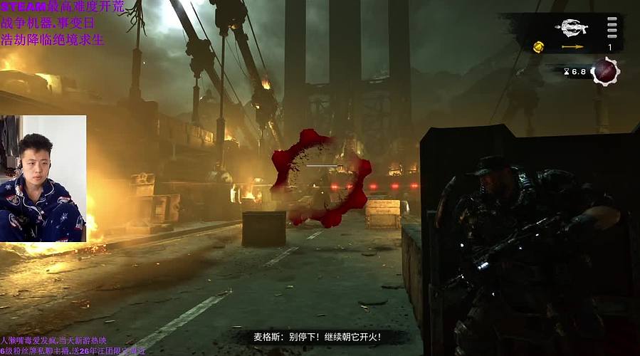 新游放映直播间