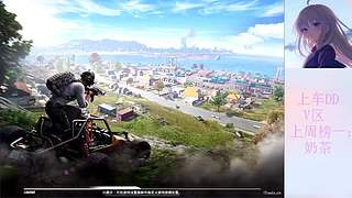 免费带粉，上车DD