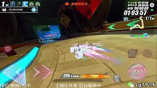 空闲中 排位巅峰包中