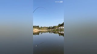 亮gnailux的直播间