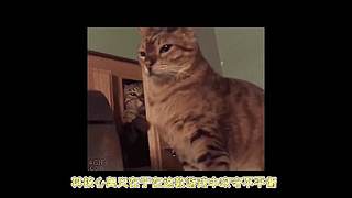 【大能】鲁大能万丈光芒