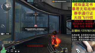 通行证/脱坑入坑/专业十年/CF点