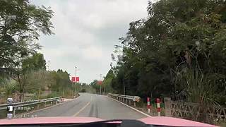 梦想小院记(跟猪狗吃过饭版）