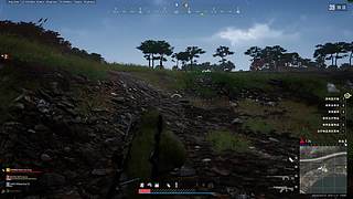pubg吃鸡陪跑中