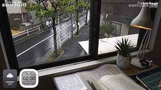 重生之奋发涂墙