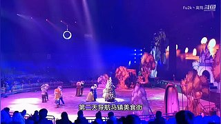 求关注   每天都会更新视频