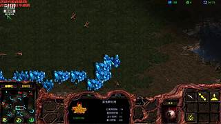 暴风虫族Ameba教你玩转星际争霸I