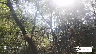 单挑黄山天都峰！硬核路线