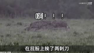 你滴勋宗，8.12已更新