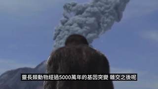 伴你入梦的娱乐科普