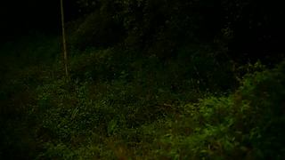 一起看英仙座流星雨