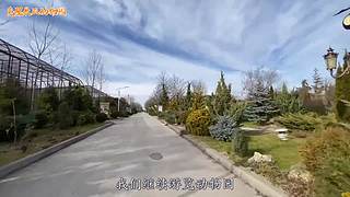 直接把狮子推下水！俄罗斯饲养员太勇敢了