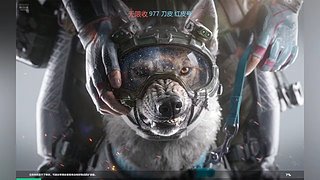 绝航无名偷人的来