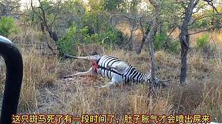 带你了解你不知道知识