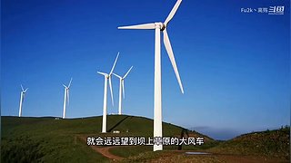 求关注   每天都会更新视频
