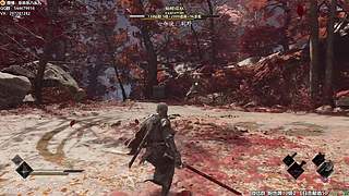 【CSTG】乐乐，414194