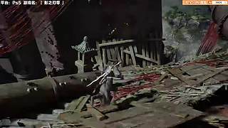 我打甄子丹？？？？