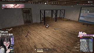 PUBG/三角洲（有位）