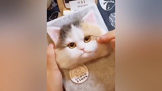 【亚巴拉辛巴】搞笑+游戏