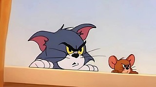 经典匹配 11539034