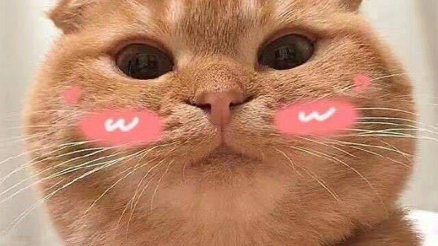 鱼塘抽水抓鱼咯！