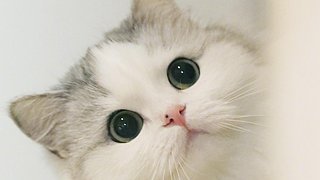 不给你看你能咋的