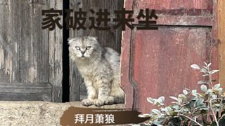 【拜月】蓝调海妖是人？给我挣200呗！